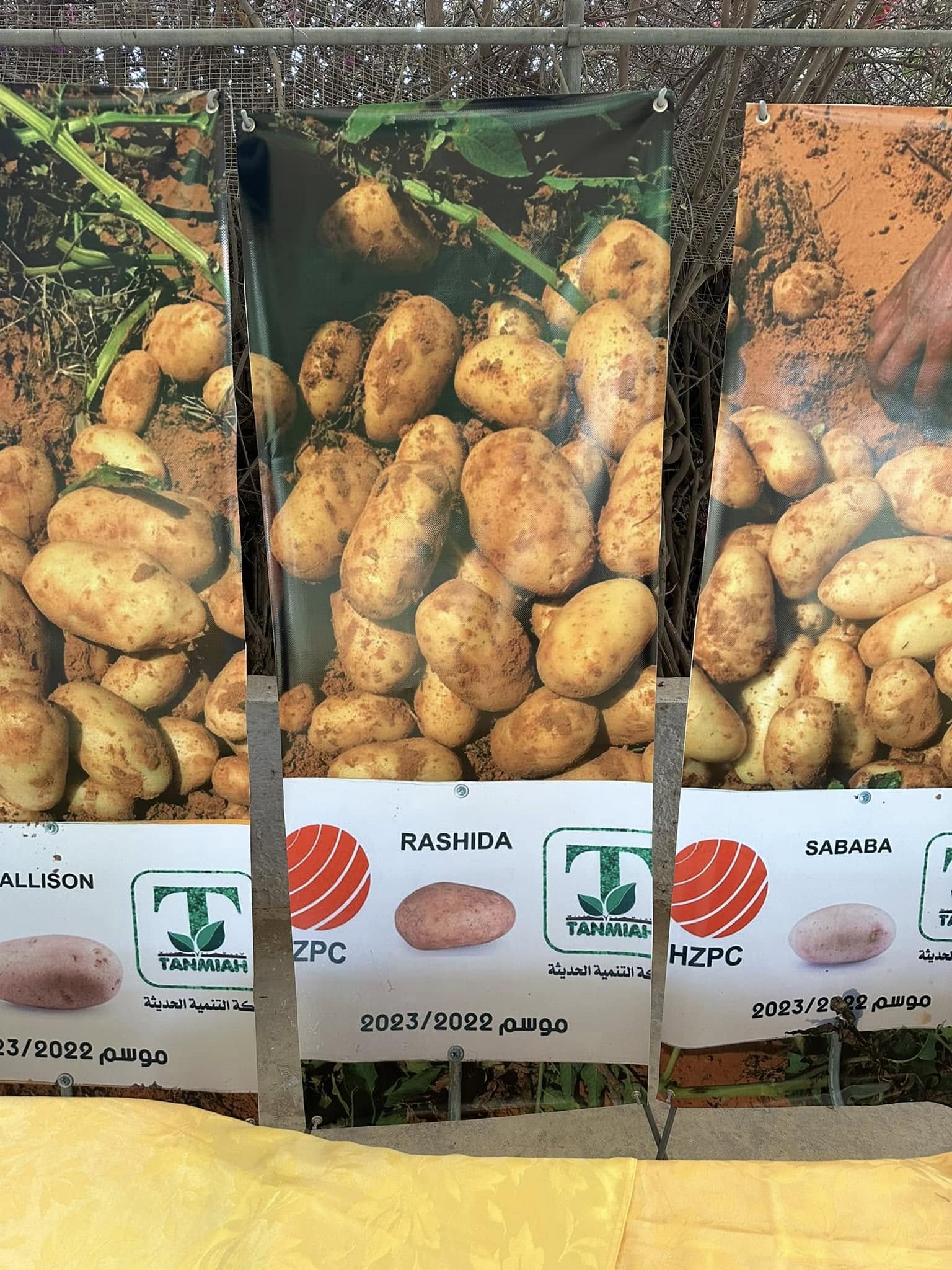 مشاركات المعارض والأحداث
