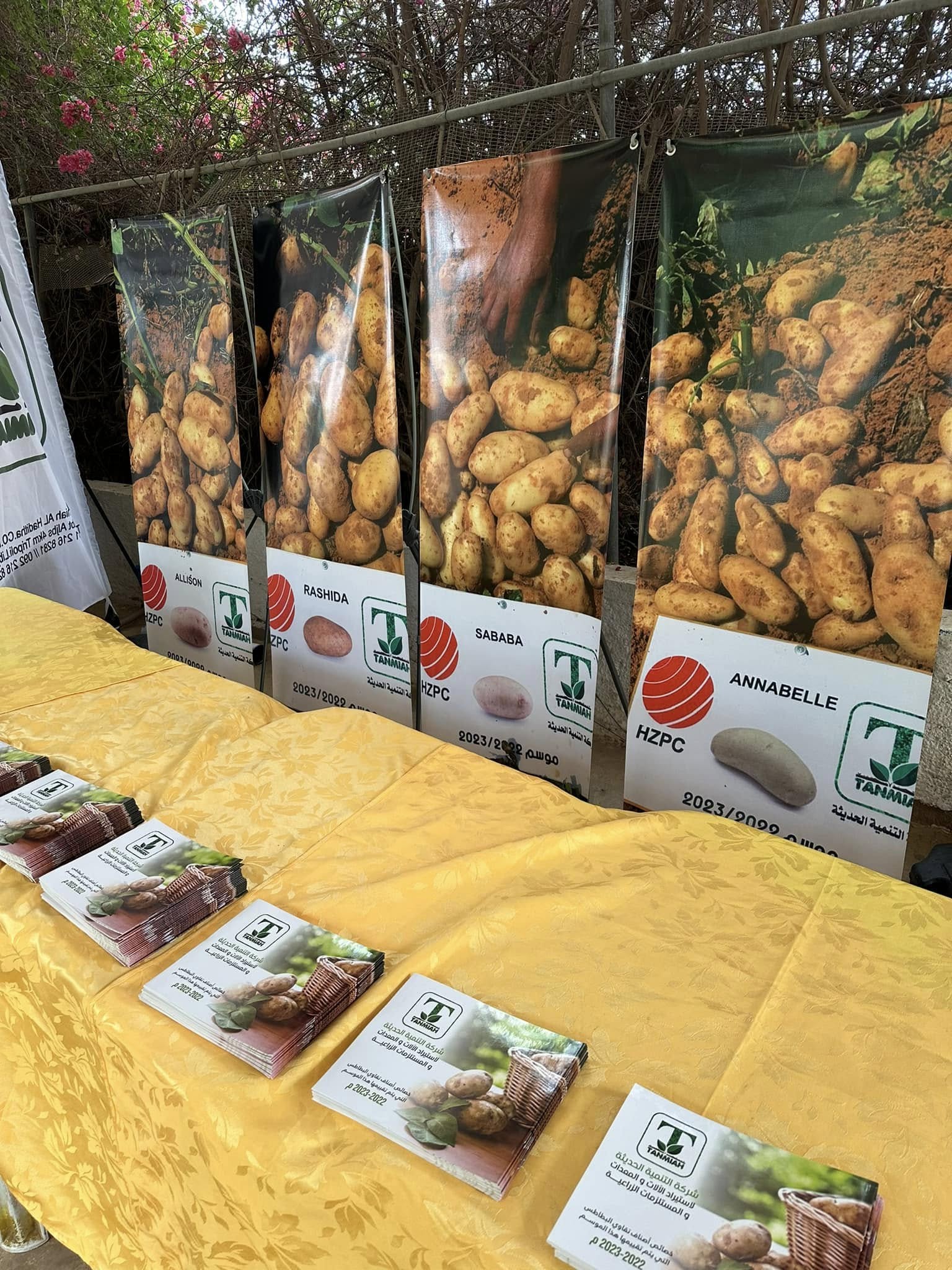 مشاركات المعارض والأحداث