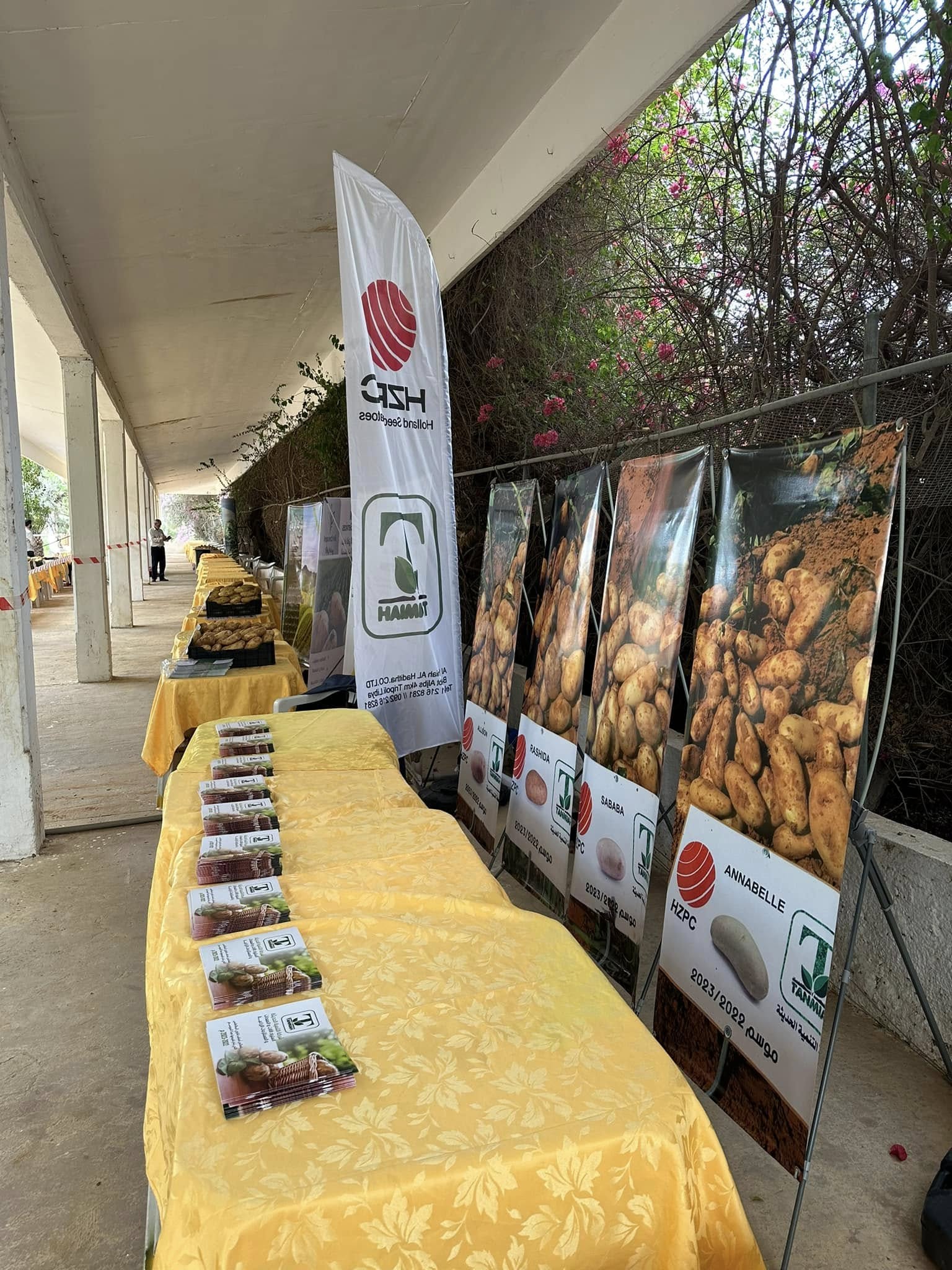 مشاركات المعارض والأحداث