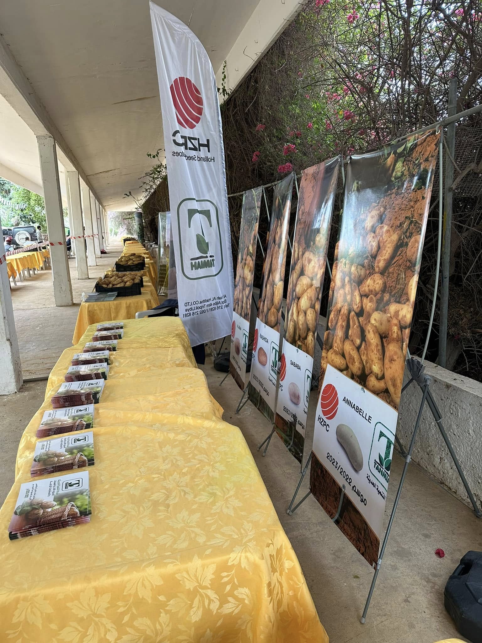 مشاركات المعارض والأحداث