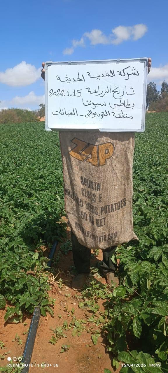 متابعة النمو والحصاد