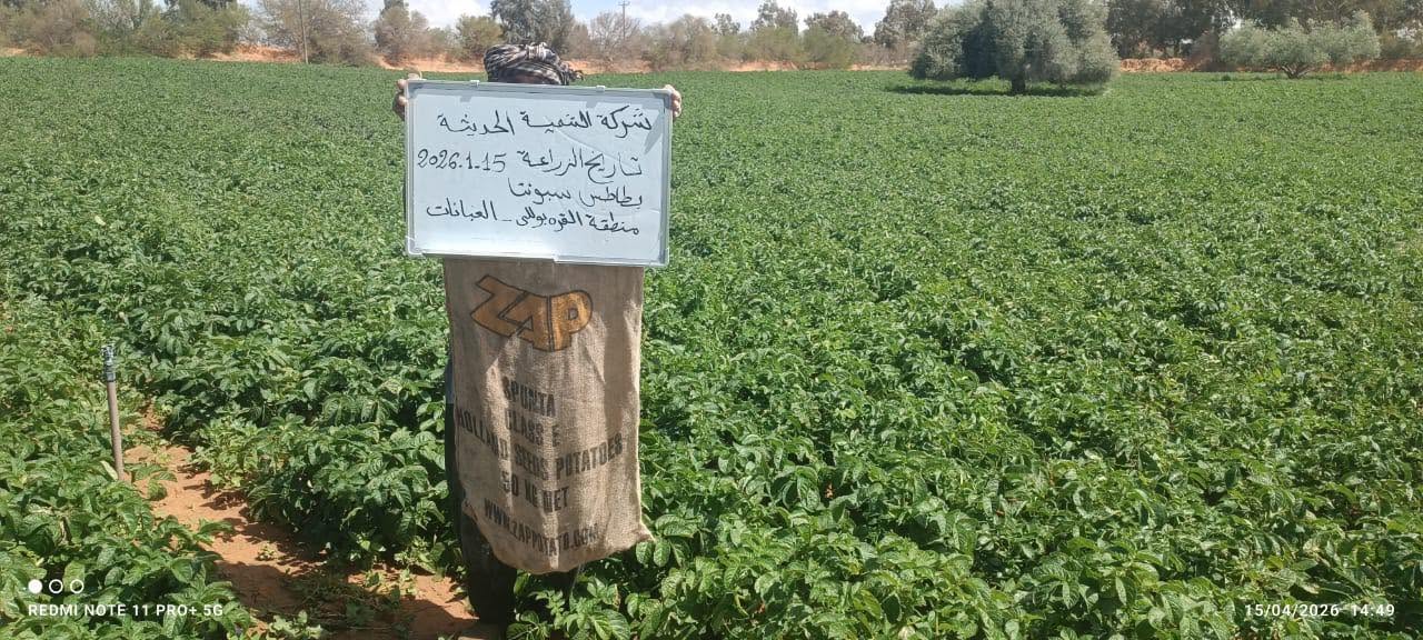 متابعة النمو والحصاد